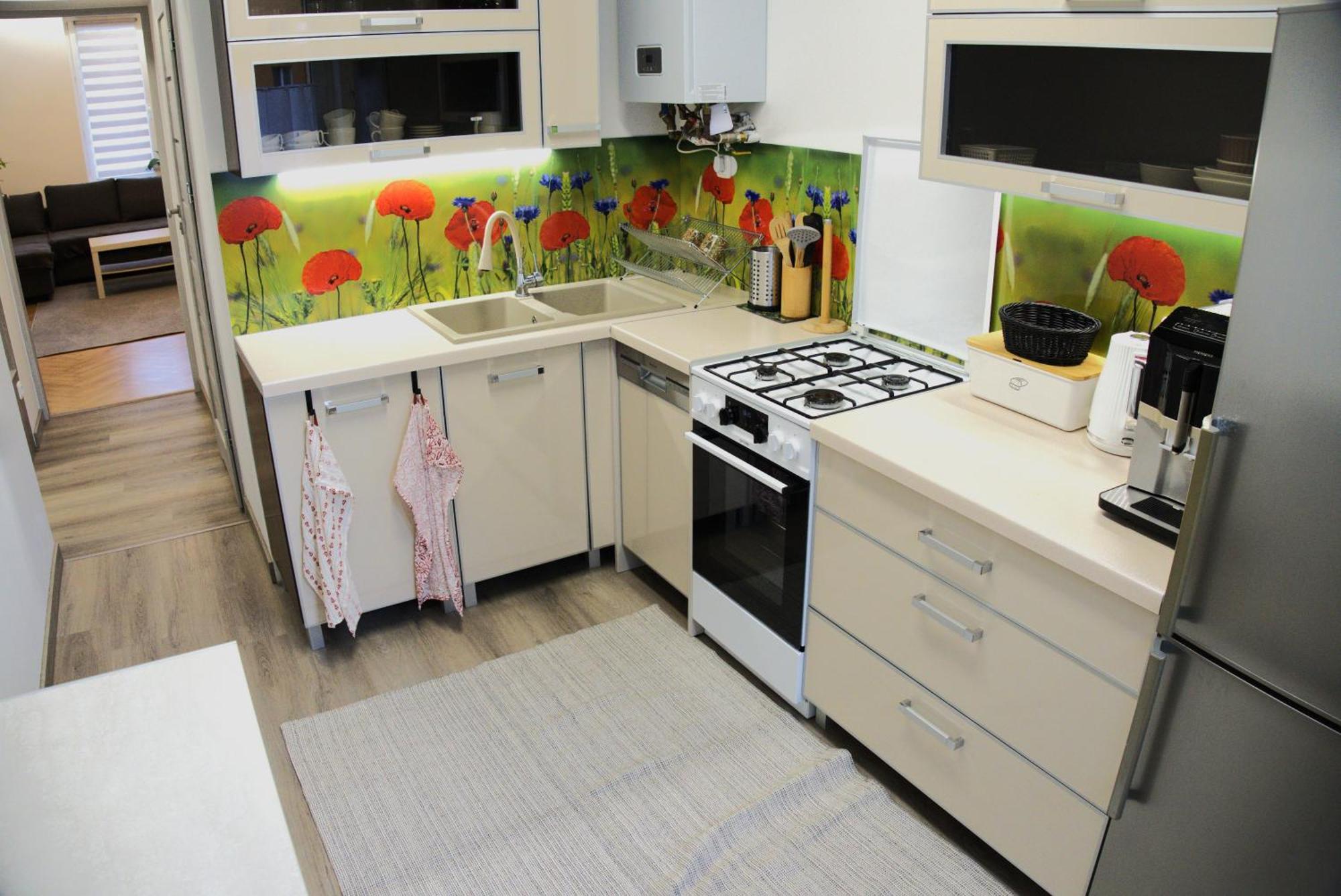 Apartament Centrum Rynek 博莱斯瓦维茨 外观 照片