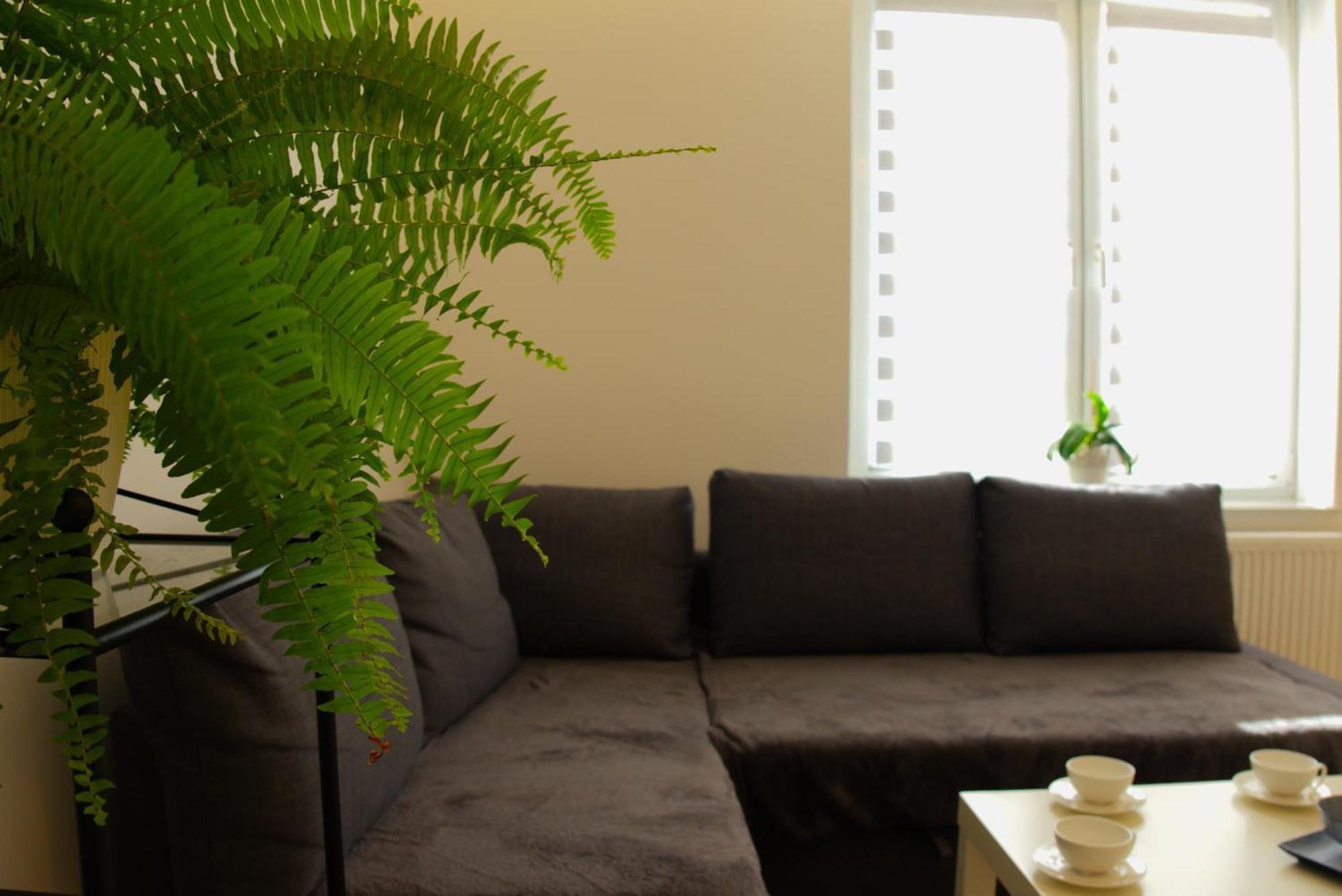 Apartament Centrum Rynek 博莱斯瓦维茨 外观 照片